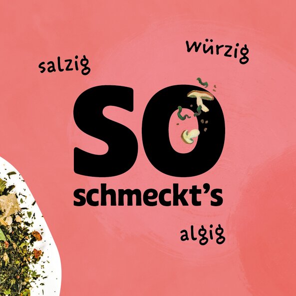Illustration of Asian Sprinkle spice loose on a pink background with the caption: ‘This is how it tastes: salty, spicy, seaweed-like.’